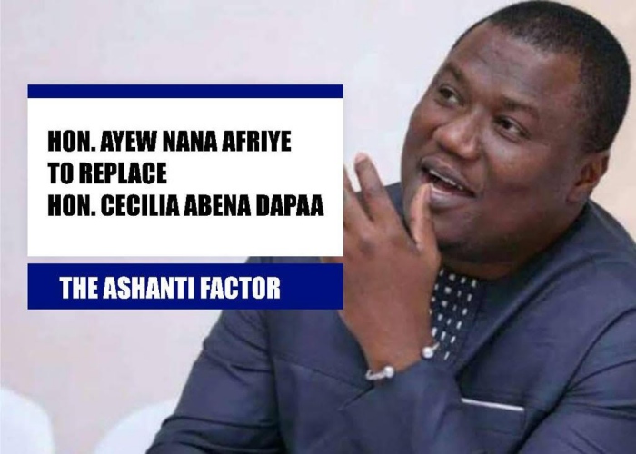 Hon.Nana Ayew Afriye To Replace Cecelia Abena Dapaah as Sanitation Minister